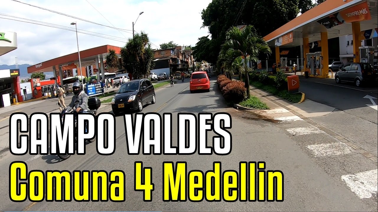 Zonas Comerciales en Campos: Guía Completa