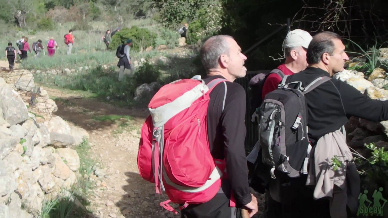 Mejores Rutas de Caminata Cerca de Esporles