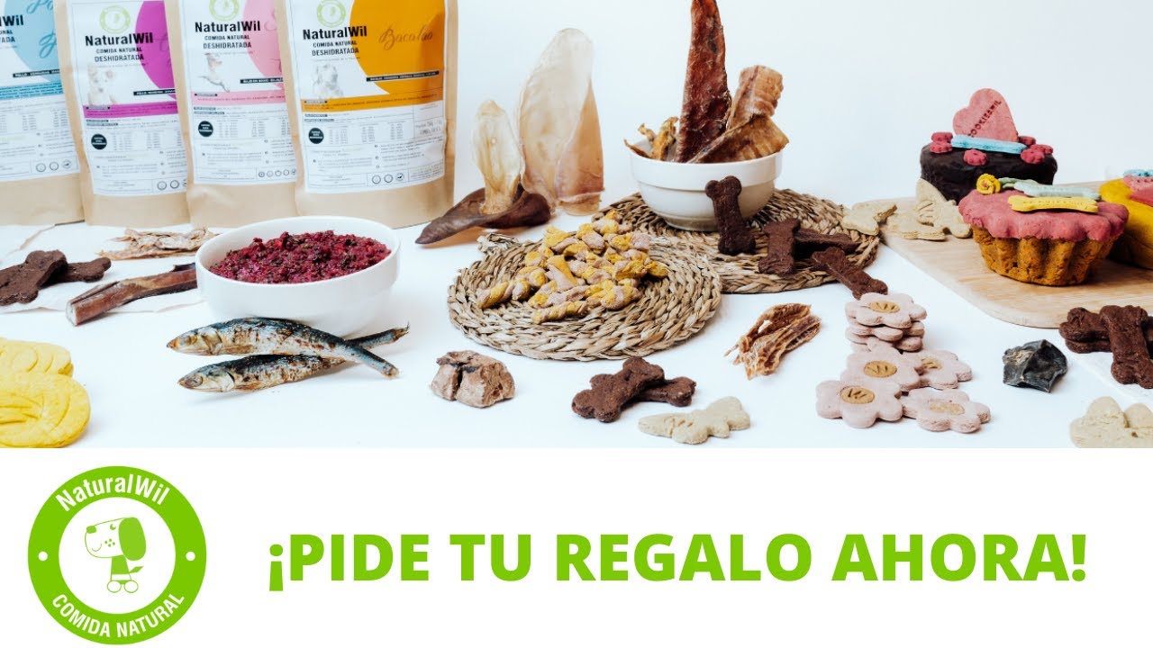 Guía para Comprar Productos para Mascotas en Campos